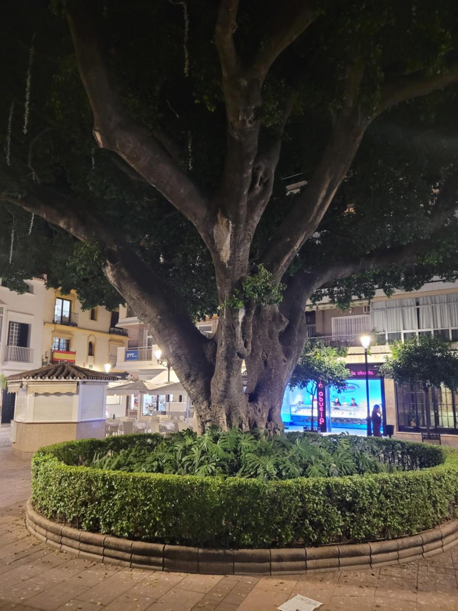 Fuengirola Center Sweet&Beach Εξωτερικό φωτογραφία